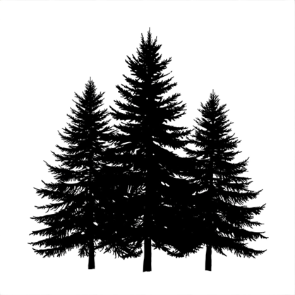 Silhouette of three evergreen trees against a white background.